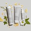 Paul Mitchell - Clean Beauty - Scalp Therapy Shampoo - 250 ml
