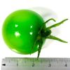 Food Sample Magnet, Mini Tomatoes (Green), 241 OM