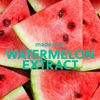 Tree Hut Sugar Lips Lip Butter Watermelon