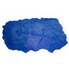Bon 32-684 Protocolphon Fossil Stamp
