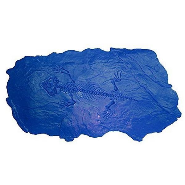 Bon 32-684 Protocolphon Fossil Stamp