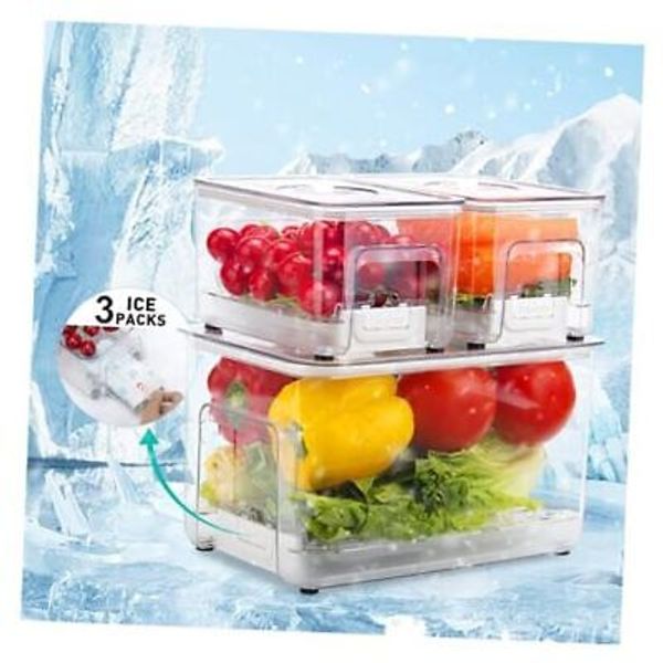 Camping Food Storage Containers with Ice Pack: Set of 3 Fridge Organizer Bins