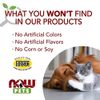NOW Pets G.I. Support Chewable Tablets for Dogs and Cats 90 Count