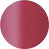 FASIO RD423 Color Fit Rouge Red Series 3.5 g