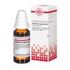Spartium scoparium D12 DHU Dilution, 20 ml Lösung