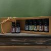Chakra Essential Oil Blends 10ml - Set of 7
