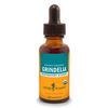 Herb Pharm Grindelia Liquid Extract for Respiratory System Support - 1 Ounce (DGRIND01)
