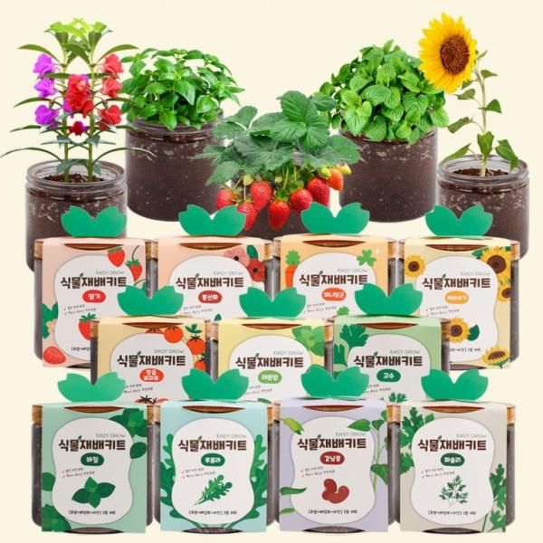 Easygrow Plant Growing Kit: Growing Cherry Tomatoes, Strawberries, Coriander, and Basil