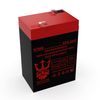 Neptune 6v 4.5ah Replacement Battery for American Hunter DE-30008 2 Pack