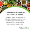 Nature's Plus - ハーブとビタミン C チュアブル鉄 - 90チュアブル錠