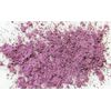 ME Mineral Essence Shimmer Eye Shadow - Grape