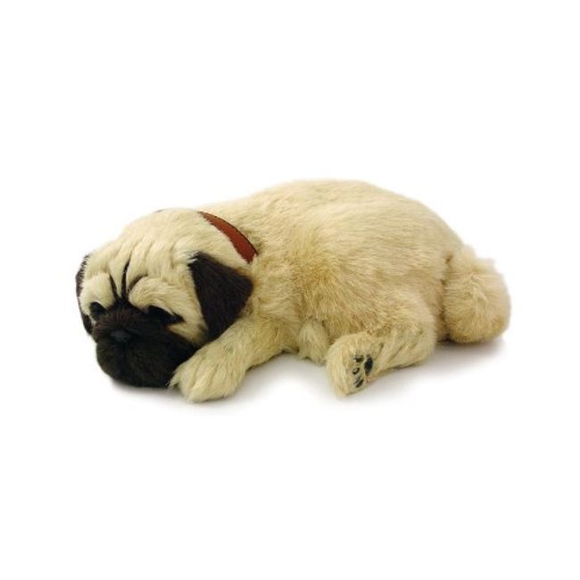 Original Petzzz Huggable Pug Puppy, Realistic, Lifelike Stuffed Interactive Pet Toy, Companion Pet Dog with 100% Handcrafted Synthetic Fur – Perfect Petzzz