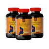joint movement glucosamine - JOINT MATRIX - msm capsules 3BOTTLE
