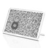 1 x Fridge Magnet - Swimming Pool Rubber Ring #36331