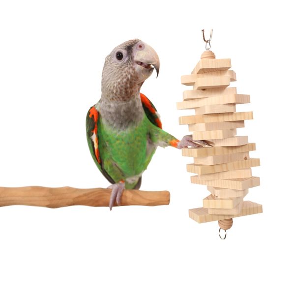 Parrot Bites Strips - Small Parrot Toy