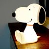 Snoopy Room Light, Nursing Light, Night Light, Battery Operated Lantern, Emergency Light