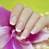120PCS/Case Dual Forms Nail Mold 12 Size With Scale Gift