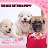 50 Pcs Puppy Starter Kit for Small Dogs Essentials Includes Leash, Bowls, Teeth