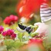 Silverline GT101 Secateurs 220 mm