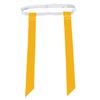 Champro Football Flag Belts and Cones Game Set