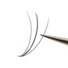 Cashmere Lashes Pre Made Fans 3D C curl Mixed Tray Pre fanned Hybrid Flat Ellipse Individual Eyelash Extensions