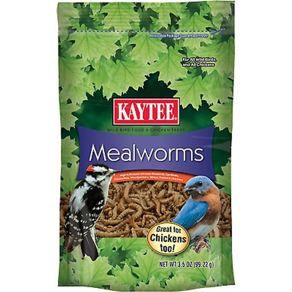 Wild Bird Food Mealworms for Bluebirds, Wrens, Robins, Chickadees, Woodpeckers