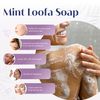 Baudelaire Hand Soap Loofa Mint - 5 Oz