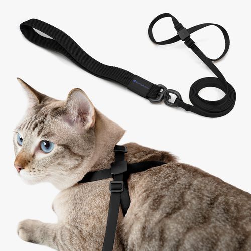 BuddyArmor Cat Harness and Leash 2-in-1, Escape Proof Anti-Chocking Harness Adjustable Lighweight Leash Walking Outoor Training for Kitten Small Large Cats Puppy, US IDA Bronze Award (Midnight Black)