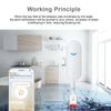 2 Pack WIFI Water Leak Sensor Detector Flood Overflow Leakage Alert Alexa Google