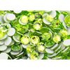 Preciosa FB MAXIMA Lime Cicle ss5 50 Tablets (Green)