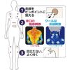 【第3類医薬品】ロイヒつぼ膏クール大判 78枚 ×2