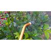 Green Gardener The Bug Blaster Environmentally Friendly Pest Control