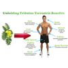 estrogen blocker - TRIBULUS  EXTRACT 1000MG testo booster - 1 Bottle 60 Tablets