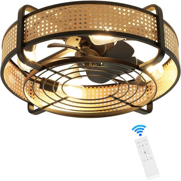 Newsight 20 Inch Ceiling Fan Lights Modern Brown LED Ceiling Light kit + Remote