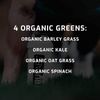 TRULABS Hydrate + Organic Greens 6ct. Sugar Free Electrolytes Hydration Packets