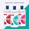 FOLICURE Shampoo Limpieza Renovadora 700ML