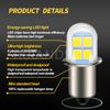 Ruiandsion 2pcs 4.5V 6V P13.5S LED Flashlight Replacement Bulb Torch Head Lamp White
