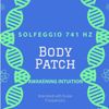 Solfeggio 741 Hz Scalar Frequency healing  optimize Body Patch 15