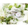 amritara skin dress powder refill