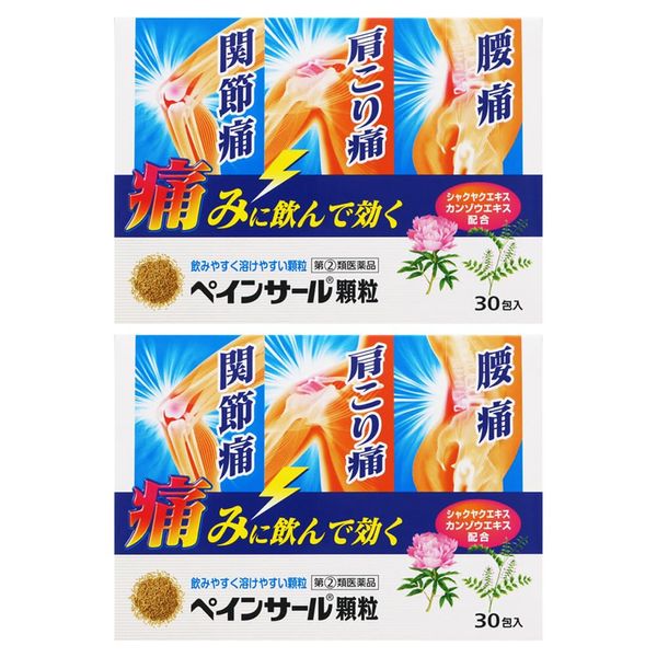 【指定第2類医薬品】ペインサール顆粒 30包 ×2