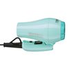 Izutech Toro 2400 Mini Dual Voltage Foldable Blow Dryer