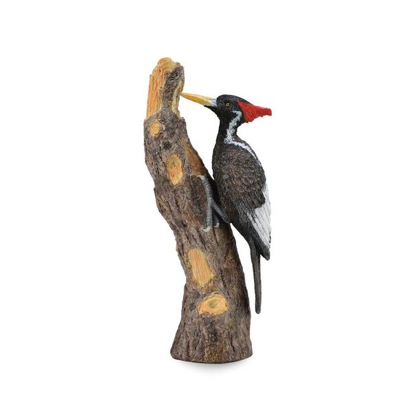 Figurine - Oiseau Pic à Bec - Collecta 88802
