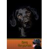 Black Labrador Dog Sympathy Card