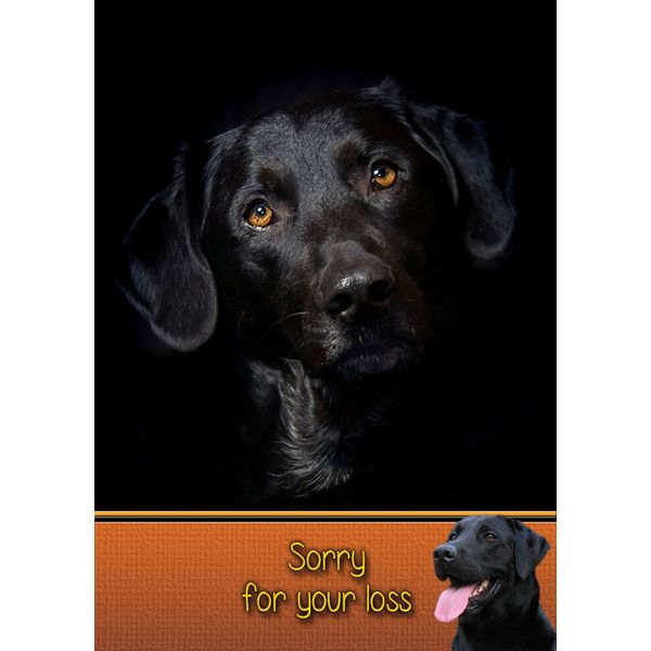 Black Labrador Dog Sympathy Card