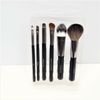NEW 6 Piece Makeup Brush Set + Case