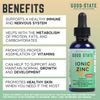 Good State - Ionic Liquid Zinc Ultra Concentrate