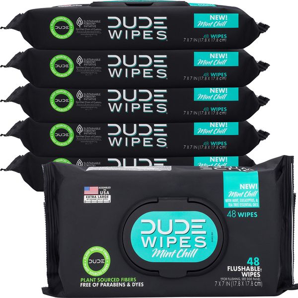 DUDE Wipes Flushable Wet Wipes Dispenser, Mint Chill, 48 Count (Pack of 6) Scented Wet Wipes with Vitamin-E, Aloe, Eucalyptus & Tea Tree Oils, Septic and Sewer Safe