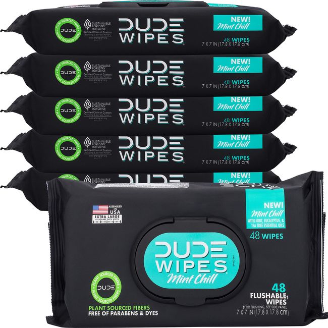 DUDE Wipes Dispenser Flushable (48-Count)
