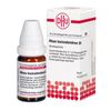 DHU Rhus toxicodendron D4 Streukügelchen, 10 g Globuli