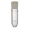 Tascam TM-80 – Condenser Microphone
